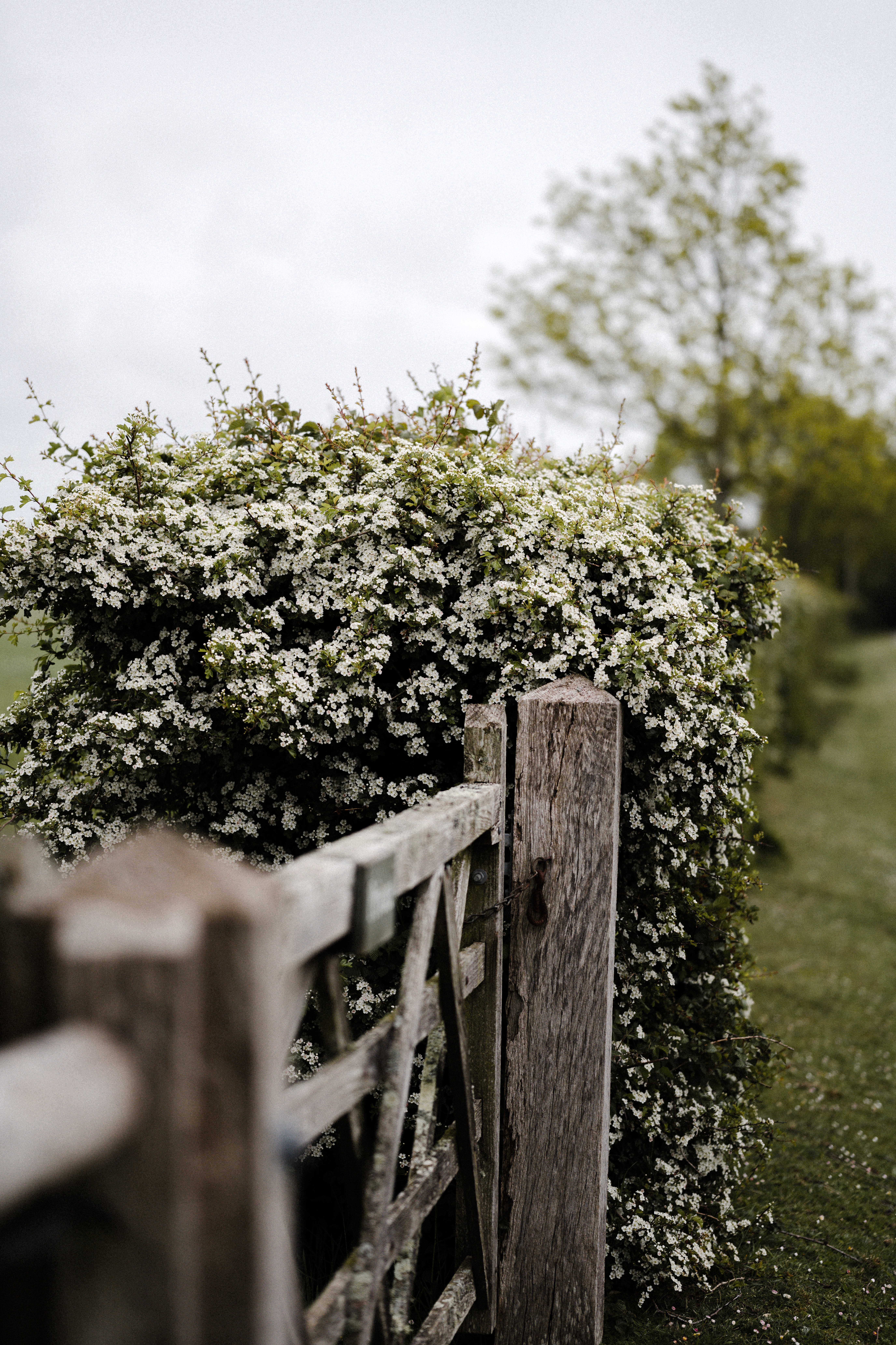 annie-spratt-jvh2gilbrpy-unsplash.33.62fdfe95b77c9