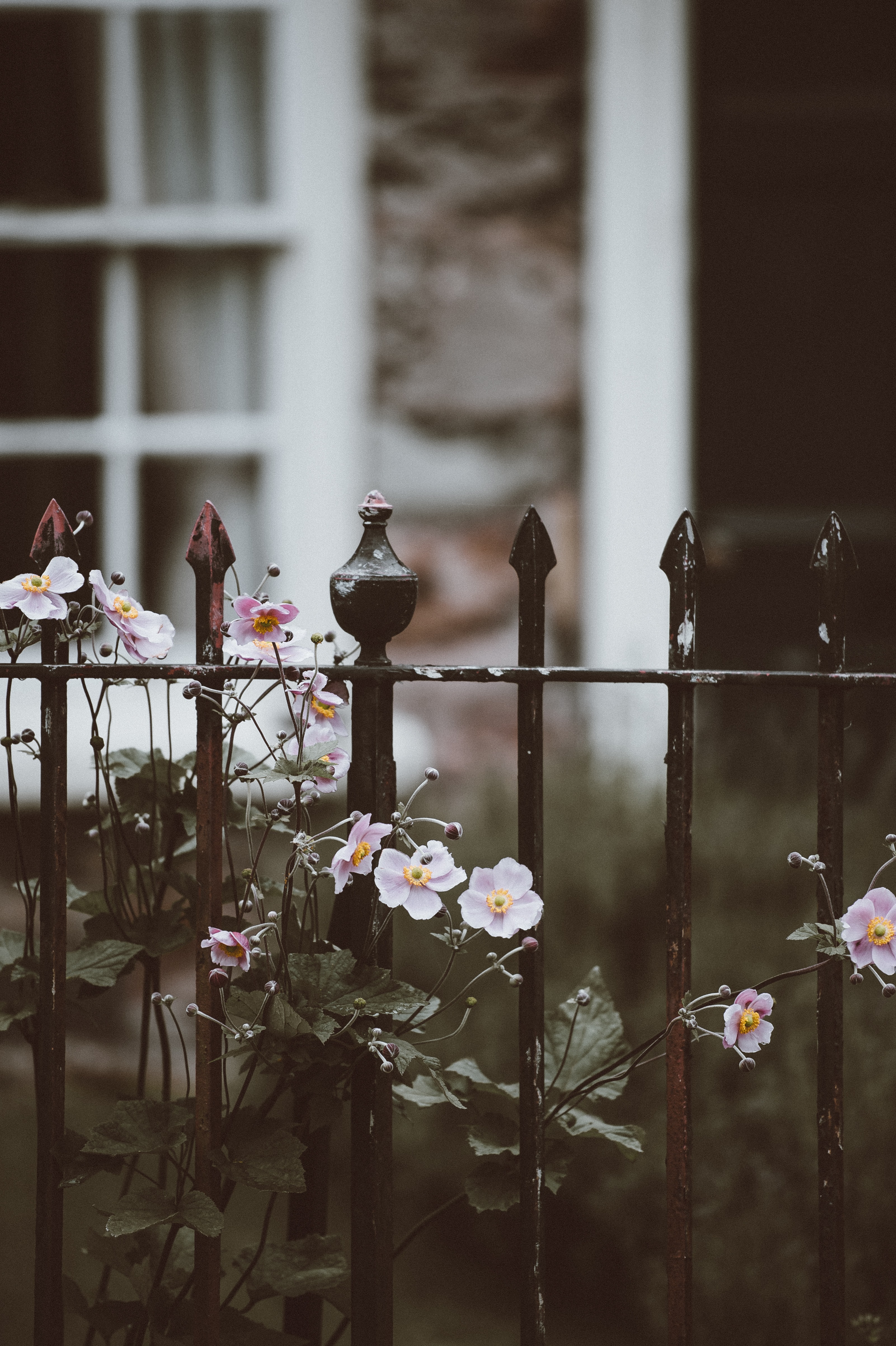 annie-spratt-m5onryjtp74-unsplash.33.62fdfe5bd5264